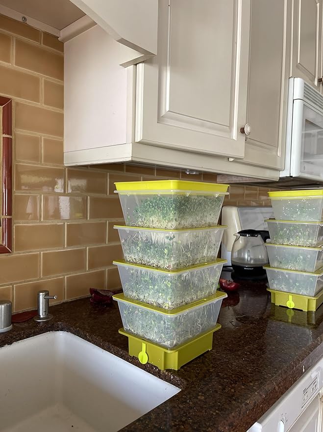ZESTIGREENS 4-Tier Sprouting Kit with Drain Spout – Stackable Seed Sprouter Trays for Growing Fresh Sprouts at Home – BPA-Free, Easy Rinse & Drain System