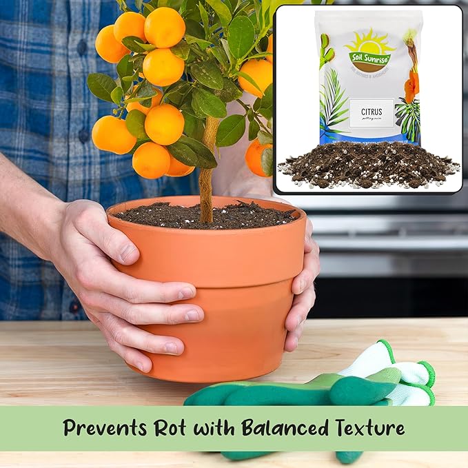 Soil Sunrise Citrus Tree Potting Soil Mix (30 Quarts) Special Blend for Indoor Oranges, Lemons, Limes and More
