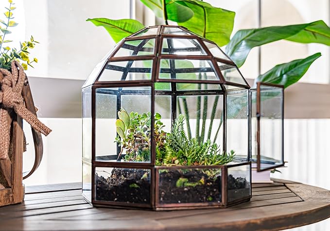 Urban Born Handmade Birdcage Style Glass Terrarium in Bronze — 10" x 9" x 9"