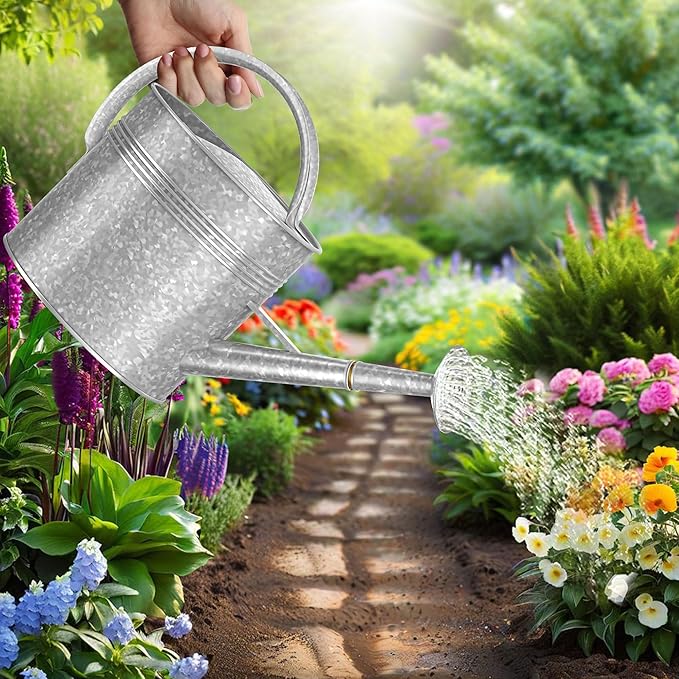 2.5 Gallon Metal Watering Can, Galvanized Watering Can for Outdoor Indoor Plants, Large Water Can for Plants and Garden Flower