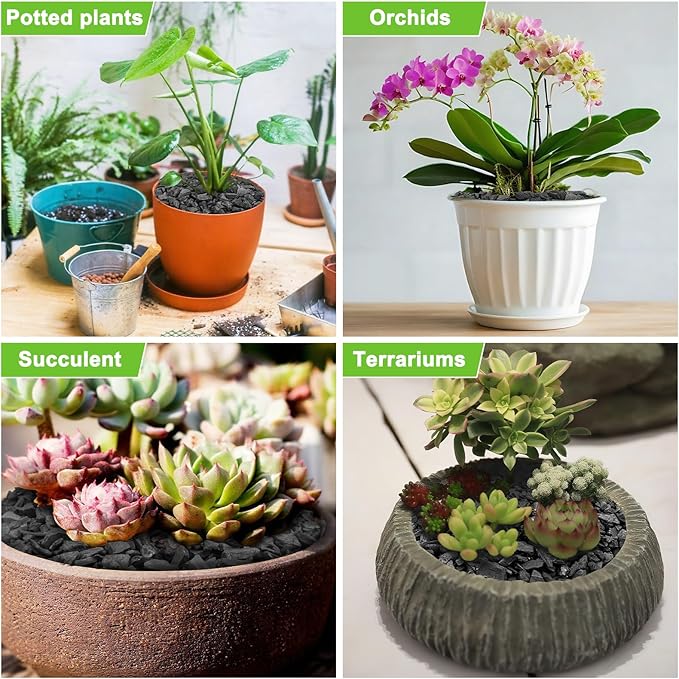 3 Quarts Horticultural Charcoal for Indoor Plants-Hardwood Potting Soil Amendment for Orchids, Succulent, Cactus, Terrariums, and Gardening