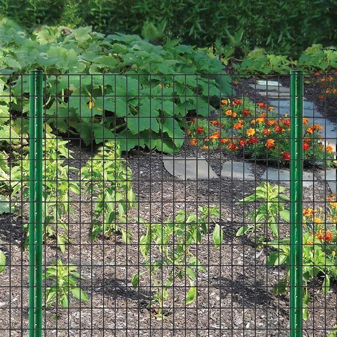 Wire Fence 24in x 50ft, 2X 3 16GA, Black PVC Coated Garden Fence for Yard Garden Border Fencing Roll Vinyl Coating Metal Wire Mesh for Yard Vegetable Plant Protection Poultry Netting