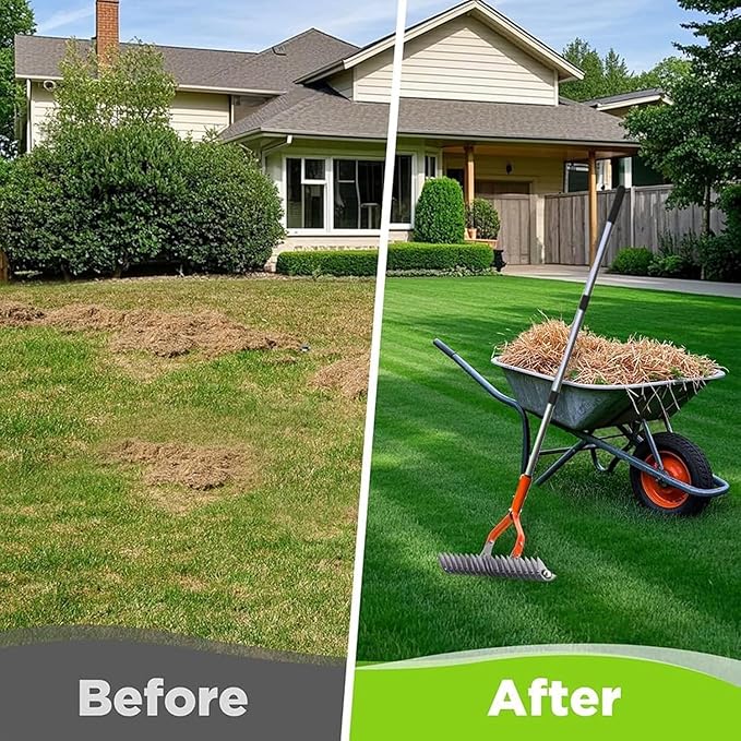 Thatch Rake, Lawn Dethatcher Rakes,Dead Grass Remover,Manual Dethatching Rake with Adjustable Length Handle, for Removing Dead Grass Debris Yard Garden, 66.9-Inch Length.