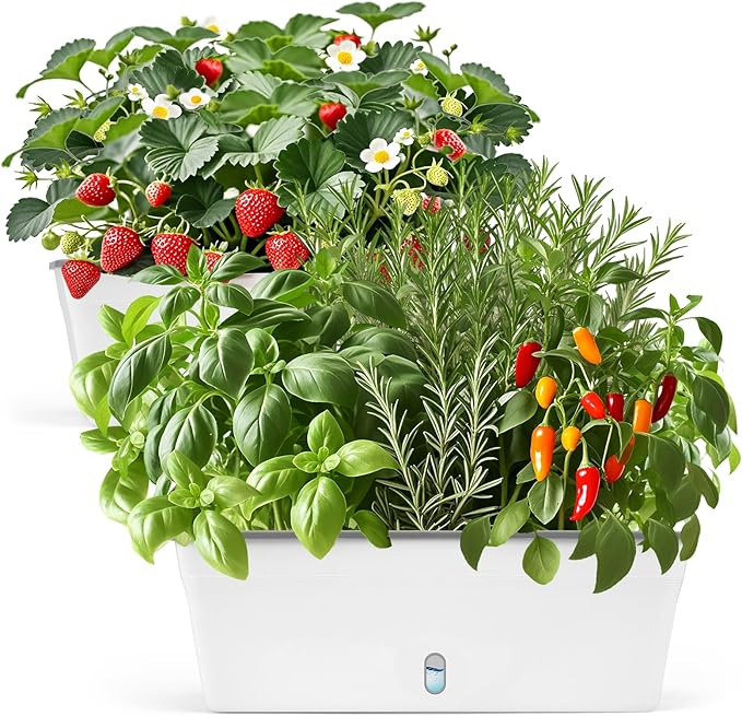 Self Watering Pots for Indoor Plants Outdoor, Rectangular Planter Window box 16.5 Inch 2 Pack, Water Level Window Prevents Overwatering for Herbs Strawberry Succulents Vegetable Basil Flower Garden