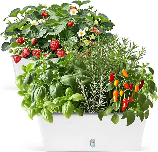 Self Watering Pots for Indoor Plants Outdoor, Rectangular Planter Window box 16.5 Inch 2 Pack, Water Level Window Prevents Overwatering for Herbs Strawberry Succulents Vegetable Basil Flower Garden