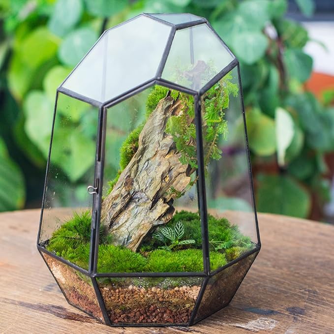 NCYP Close Geometric Glass Terrarium with Door - 9.8 inches Tall Irregular Planter for Succulents, Small Cacti, Modern Home Garden Tabletop Decor, Black, Handmade (Plants NOT Included)