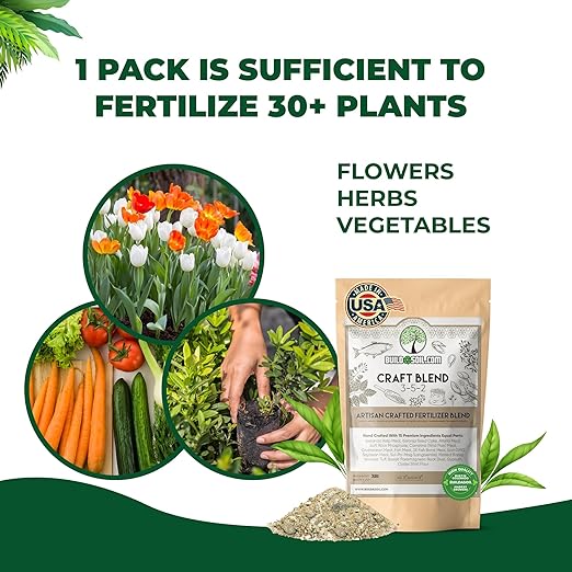 BuildASoil Fertilizer for Vegetable Garden and Organic Plant Food | Hand-Crafted Organic Fertilizer with 15 Premium Ingredients | Ensures Larger Plants and More Fragrant Flowers (10 LB - Medium Bag)