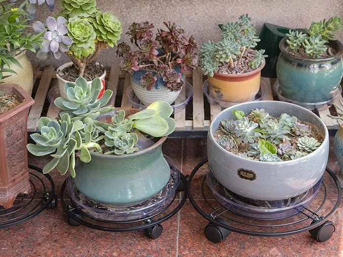3 Packs 13.5" Metal Plant Caddy with Wheels Large Rolling Plant Stands Indoor Wheeled Plant Dolly Heavy-duty Planter Mover Roller Base Outdoor Plant Trolley Cart Water-proof, Plant Saucers on Wheels