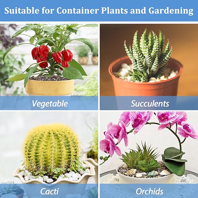 Riare 6 Quarts Organic Perlite for Plants - Horticultural Soil Amendment for Potting Mix, Natural Chunky Soil Additive Conditioner to Improve Root Growth, Drainage and Ventilation