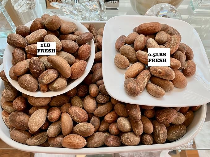 HIGHERGRADE UNLIMITED Fresh Organic Bitter Kola (Garcinia Kola from west Africa) 1LB
