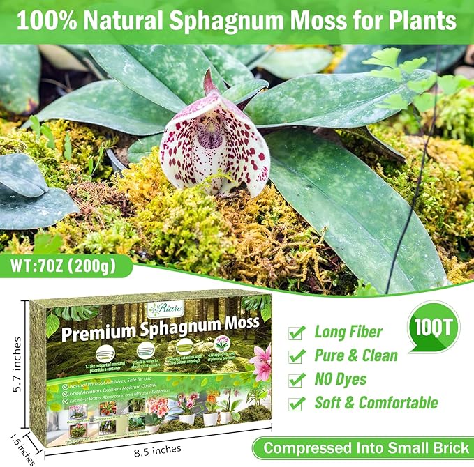 Riare 7OZ Premium Sphagnum Moss for Plants- 10QT Natural Dried Plant Moss for Potted Plants, Orchid Moss for Repotting, Soft Green Decorative Moss for Succulents, Reptiles & DIY Crafts