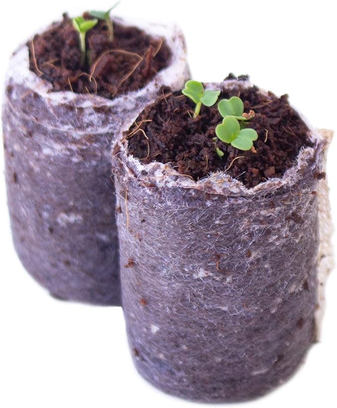 10 Varieties, Herbs de Provence Herb Seed Collection - French Culinary Herb Seeds - Non-GMO Heirloom Seeds by Sustainable Seed Company (Collection Only)