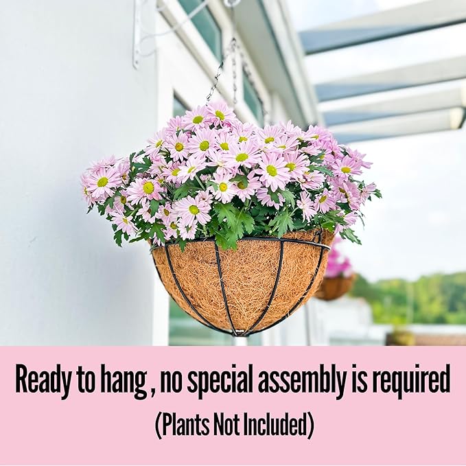 LaLaGreen Hanging Baskets for Plant Outdoor (2 Pack, 16 Inch) Extra Large Black Metal Wire Hanging Planter with Coco Liner Round Flower Pot Holder Hanger Deck Porch Modern Garden Balcony Country Decor
