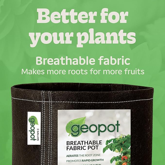 GeoPot 3 Gallon Fabric Grow Bags - 10 Pack - Black - Indoor/Outdoor - Aerated Fabric Pots for Vegetables, Herbs, Flowers & Houseplants