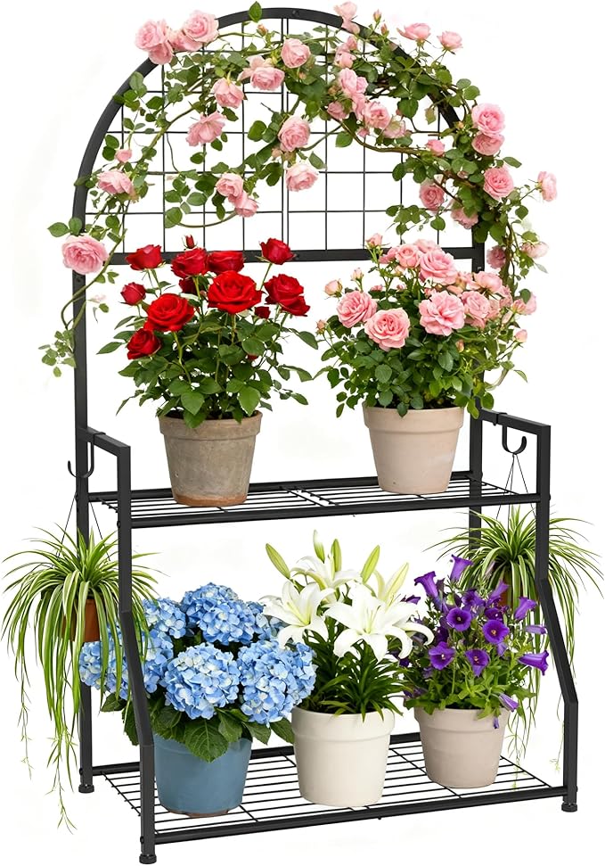 2 Tier Plant Stand Indoor Outdoor, Metal Plant Display Stand Plants Shelf Rack for Multiple Plants, Black Flower Plante Pots Holder for Patio Garden Balcony Living Room