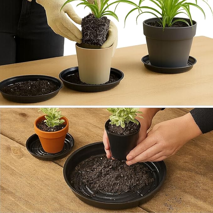 50 Packs 10 Inches Large Plant Saucers for Indoor Outdoor Use Heavy Duty Plastic Plant Plate Dish for Planter Bulk Round Flower Pot Drip Trays to Catch Water 4 to 20 Inch, Black
