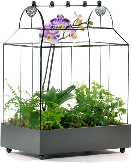 H Potter Glass Terrarium Succulent Planter Wardian Case Container for Plants WAR105