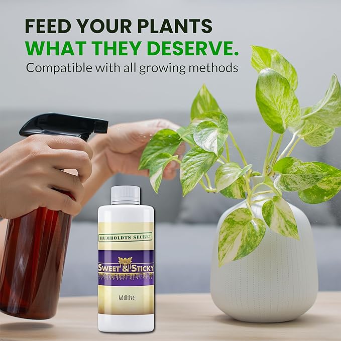 Humboldts Secret Sweet & Sticky Carbohydrate and Saccharide Plant Energy Additive | Indoor and Outdoor Plant Nutrients Enhancer for Growth and Aroma | Boosts Flavor and Development | 8 Ounce