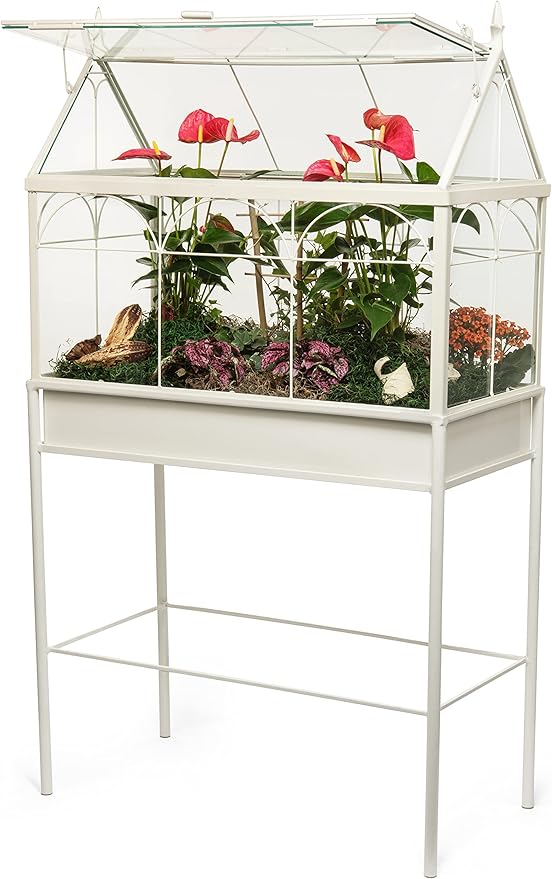 H Potter Terrarium Planter Freestanding Wardian Case (Large)