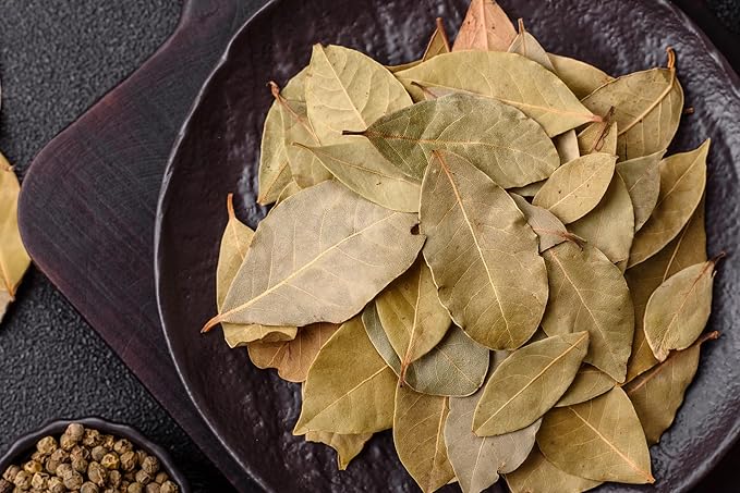 Bay Laurel Herb - Laurus nobilis - 4.33" Pot - Live Plant