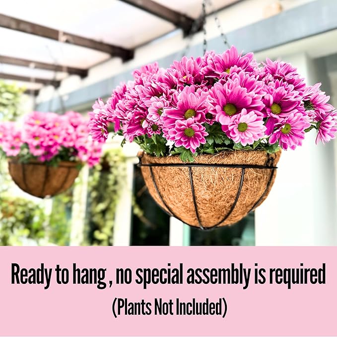 LaLaGreen Hanging Baskets for Plant Outdoor (6 Pack, 16 Inch) Extra Large Hanging Planter with Coco Liner Black Metal Wire Round Flower Pot Holder Hang Deck Porch Garden Balcony Natural Country Decor
