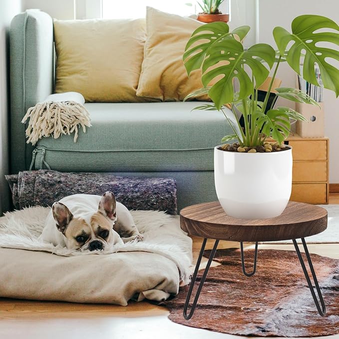 Wood Plant Stand Indoor Outdoor, 8'' Wooden Planter Stands Fit 5-10 Inch Pot, Plant Stool Flower Pot Stand Gardening Display Pedestals for Decor Living Room Balcony, Office, Patio