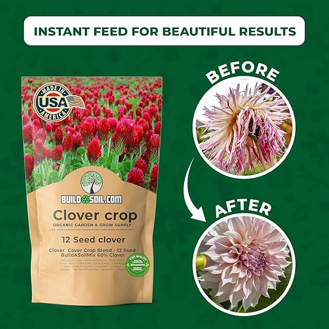 BuildASoil No-Till Clover Seed Cover Crop Blend 12 Species Cover Crop Seed Mix Premium Clover Seeds for Lawn - Plants Friendly Cover Crop for Garden - 60% Clover (1 lb Bag)
