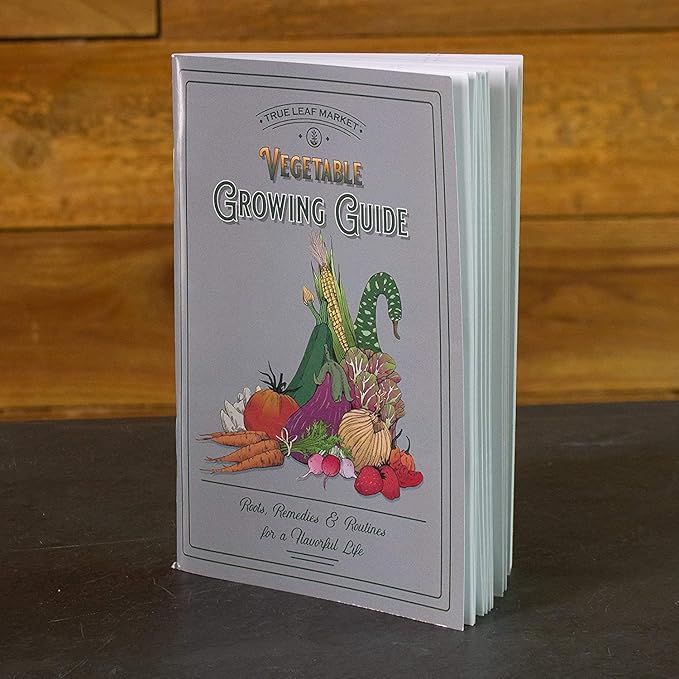 Bug Out Bag Survival Garden Vegetable & Herb Seeds - ~12,000 Seeds - Collection of 19 Heirloom Seed Varieties for Emergency Seed Vault - Bean, Beet, Carrot, Corn, Kale, Onion, Pepper, & 12 More…