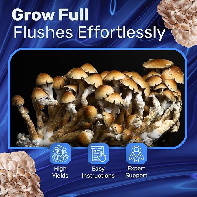 Surfin' Spores Mushroom Grow Kit | 4 lb Grow-in-Bag Kit/Monotub Refill | Includes: 1 lb Sterile Grain Bag with Injection Port & 3 lb Organic CVG Substrate | Spores Not Included (Two Pack)