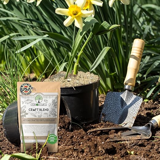 BuildASoil Fertilizer for Vegetable Garden and Organic Plant Food | Hand-Crafted Organic Fertilizer with 15 Premium Ingredients | Ensures Larger Plants and More Fragrant Flowers (10 LB - Medium Bag)
