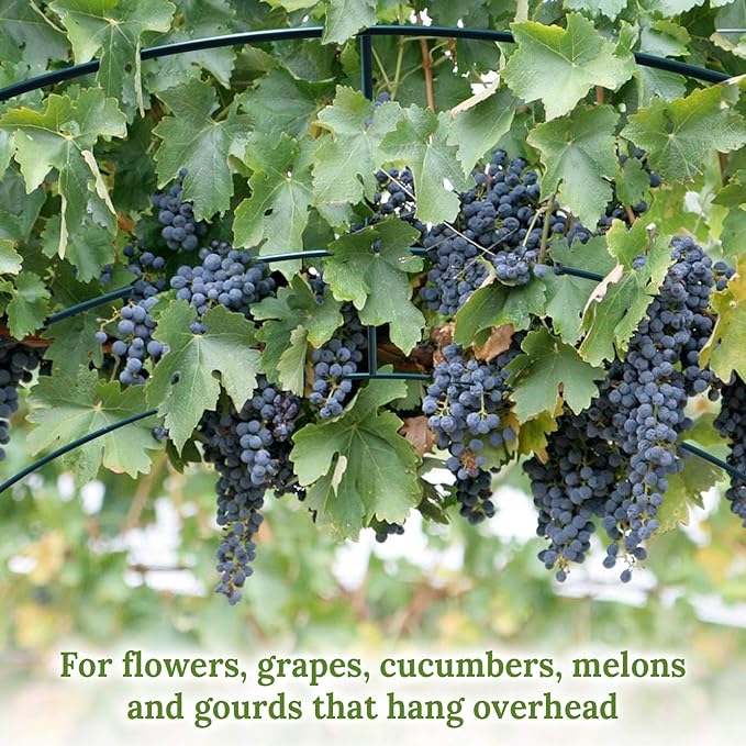 Multi-Size Large Garden Support Arch Frame Climbing Plant Arch Arbor for Flowers/Fruits/Vegetables (19.6ft x 7ft x 7.2ft)