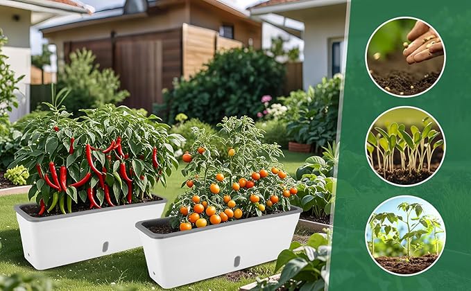 Self Watering Pots for Indoor Plants Outdoor, Rectangular Planter Window box 16.5 Inch 2 Pack, Water Level Window Prevents Overwatering for Herbs Strawberry Succulents Vegetable Basil Flower Garden