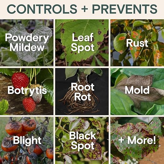 Arber Bio Protectant | Organic Outdoor Plant Fungicide and Root Stimulate Liquid Concentrate | Natural Bloom Boosting Growth Gardening Solution | Control Mildew, Mold, Spots | Make Over 16 Gallons