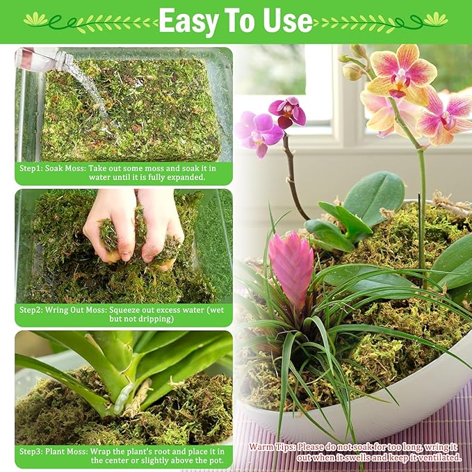 Riare 7OZ Premium Sphagnum Moss for Plants- 10QT Natural Dried Plant Moss for Potted Plants, Orchid Moss for Repotting, Soft Green Decorative Moss for Succulents, Reptiles & DIY Crafts