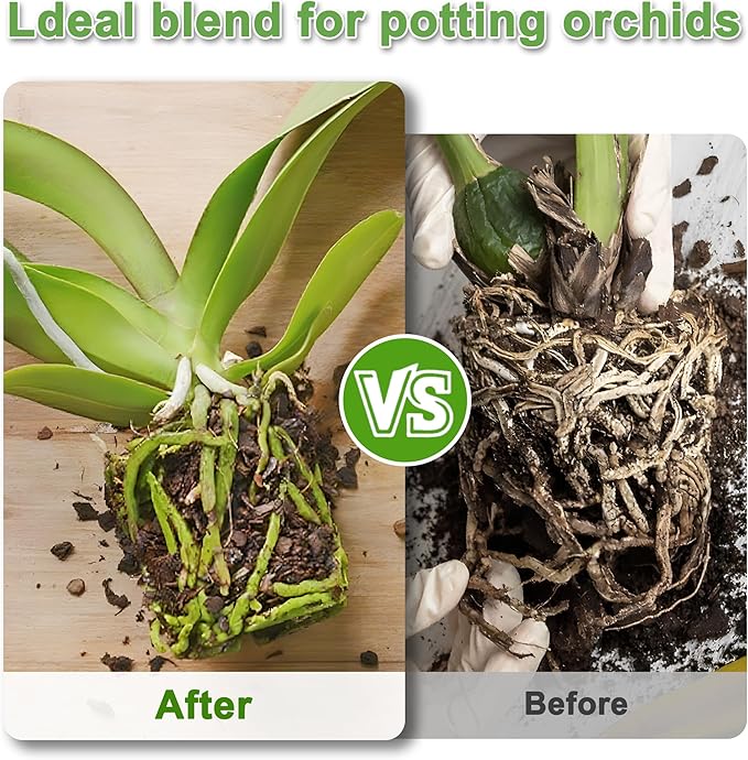 Orchid Potting Mix for Repotting - 2.5QT Fast-Draining Soil with Pine Bark, Perlite, Moss & Leca Clay, Breathable Mix for Healthy Roots,Ideal for Repotting & Indoor Orchid Plants