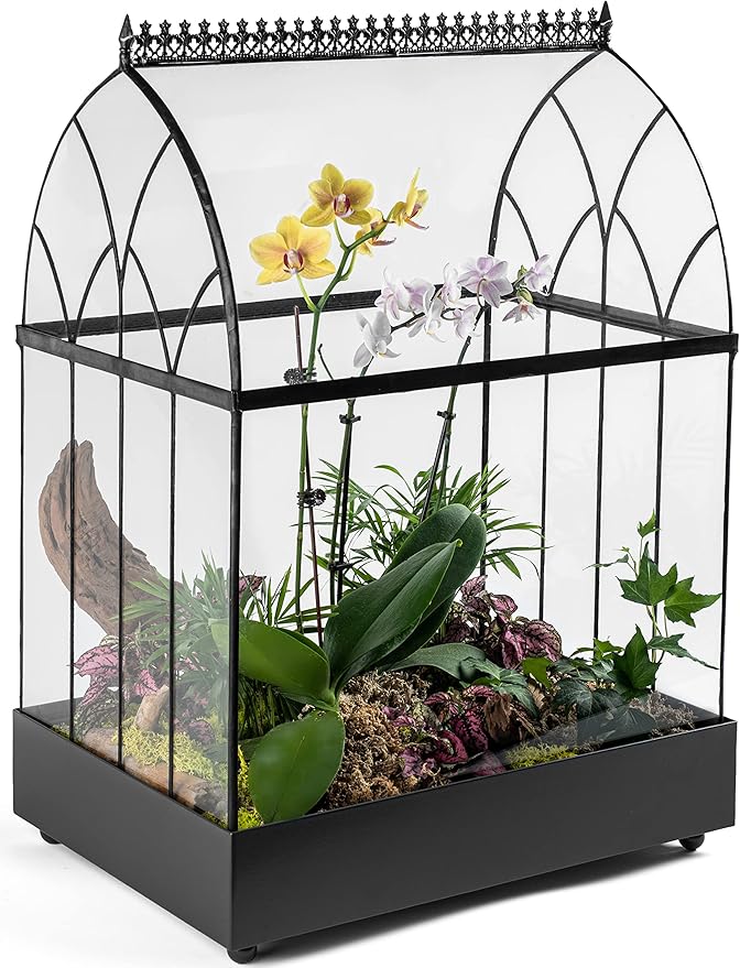 H Potter Large Terrarium Wardian Case - Glass Plant Container