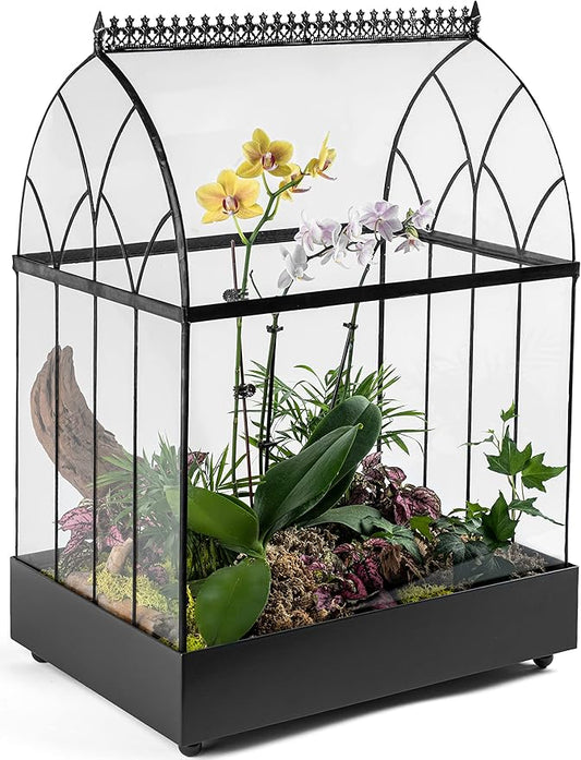 H Potter Large Terrarium Wardian Case - Glass Plant Container
