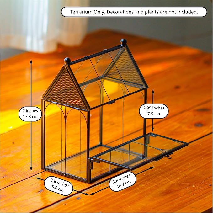 NCYP Small Glass Terrarium Enclosure with Mesh for Jumping Spiders, Micro House Shaped Succulent Plants Terrarium, Home Decor Black, 5.8" x 3.8" x 7" (No Plants)