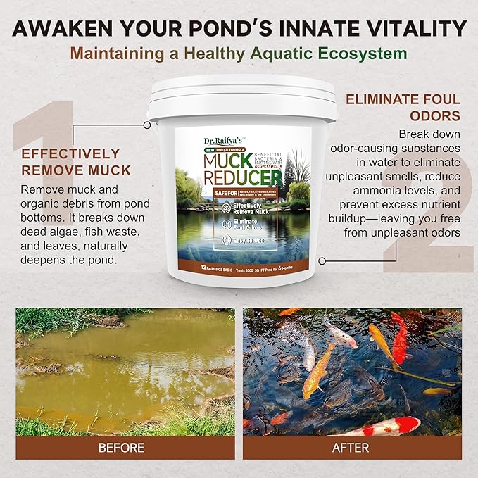 Dr.Raifya’s Muck Reducer Pellets 6 LB - Natural Pond Sludge Solution, Experience The Pure Water & Fresh Odor, Easy to Use, Beneficial Bacteria Safe for Fish, Lake & Outdoor Ponds, 6-Month Supply