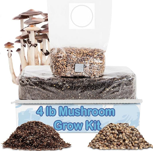 Surfin' Spores Mushroom Grow Kit | 4 lb Grow-in-Bag Kit/Monotub Refill | Includes: 1 lb Sterile Grain Bag with Injection Port & 3 lb Organic CVG Substrate | Spores Not Included (Single)