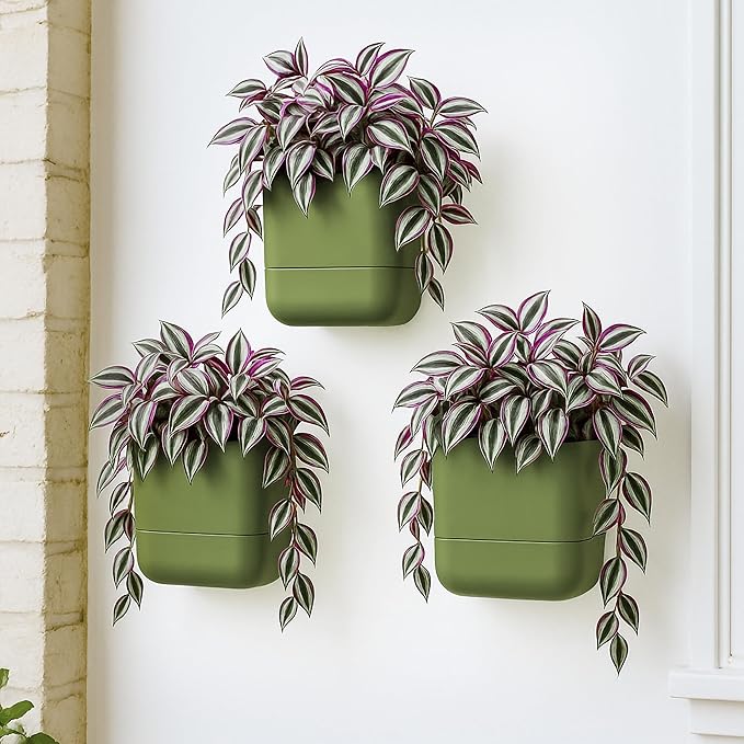 Phoenix Vine 6.5-Inch Wall Mounted Self-Watering Planter Pot for Indoor Houseplants and Herbs | Hanging Planter for Window Sills, Bathroom Walls, Home & Office Décor, Olive, Set of 3, 01-WP-C-3