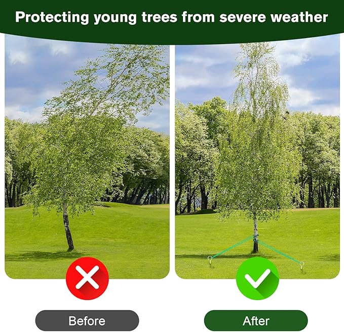 A Tree Support kit for straightening Trees, which Includes Supporting Metal Stakes and Ropes. It can Also be Used for Tree Protection in Harsh Weather and Outdoor Tent Fixation. (1)