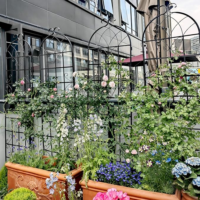 Metal Garden Trellis Garden Fence Rustproof Trellis for Climbing Plants Support Roses Flower Outdoor Lawn (6, Pattern-D)