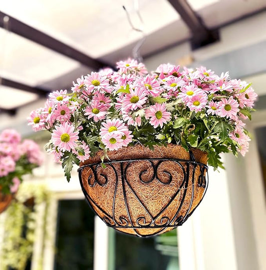 LaLaGreen Hanging Baskets for Plants (14 Inch, 6 Pack) Hanging Flower Pots with Coco Liner, Black Metal Wire Round Basket Plant Holder with Hanger Hook Chain, Outdoor Patio Deck Balcony Garden Decor