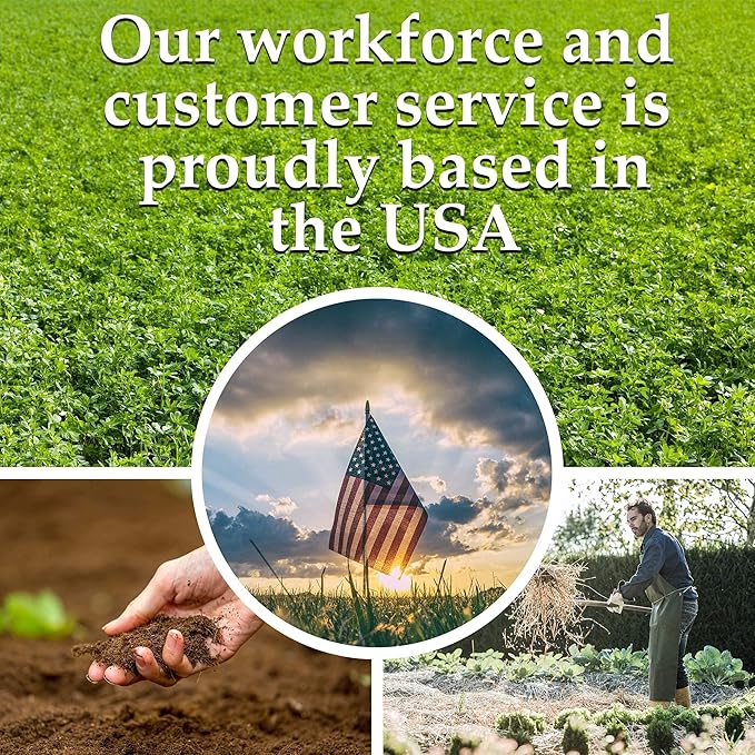 Bug Out Bag Survival Garden Vegetable & Herb Seeds - ~12,000 Seeds - Collection of 19 Heirloom Seed Varieties for Emergency Seed Vault - Bean, Beet, Carrot, Corn, Kale, Onion, Pepper, & 12 More…