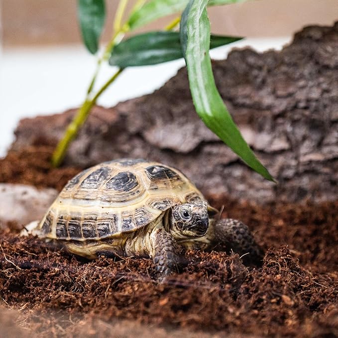 GARDENERA Terrarium Bedding - Custom Blend of Coco Coir, Charcoal, Pumice, and Vermiculite for Healthy Plant Growth - 20 QUARTS