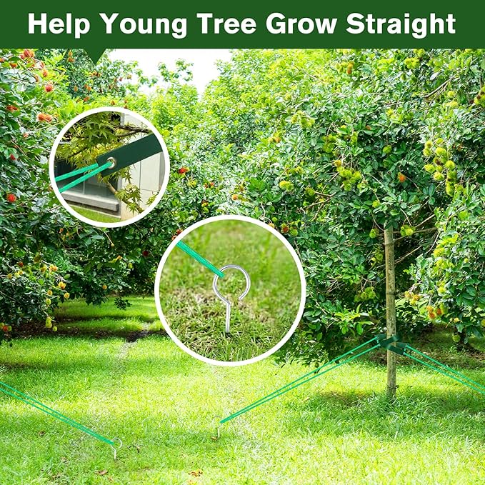 A Tree Support kit for straightening Trees, which Includes Supporting Metal Stakes and Ropes. It can Also be Used for Tree Protection in Harsh Weather and Outdoor Tent Fixation. (1)