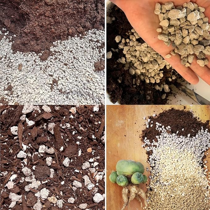 Organic Pumice for Bonsai and Horticultural 100% Natural- (3 gallons, 1/4 inch)