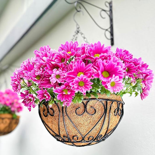 LaLaGreen Hanging Baskets for Plants (12 Inch, 2 Pack) Hanging Flower Pots with Coco Liner, Black Metal Wire Round Basket Plant Holder with Hanger Hook Chain, Outdoor Patio Deck Balcony Garden Decor