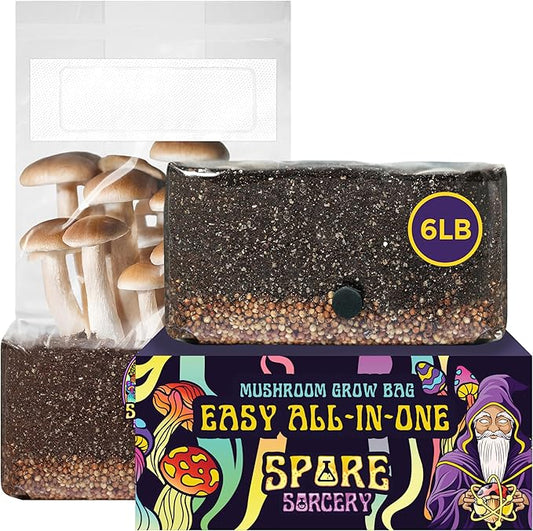 6 LB All-in-One Mushroom Grow Bag: Up to 48oz of Mushrooms! Nutrient-Enhanced, Injection Port, Just Add Your Own Spores & Grow Like Magic (6 LB Bag)